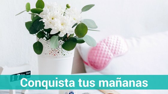 Las 6 rutinas de la mañana que determinan el éxito del día