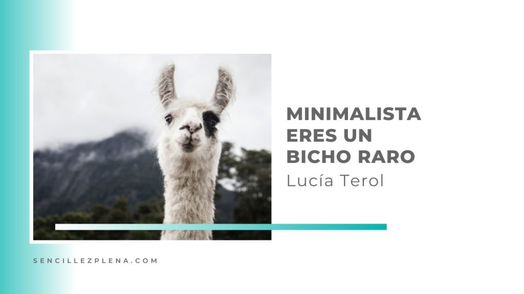 Bicho raro y Minimalismo