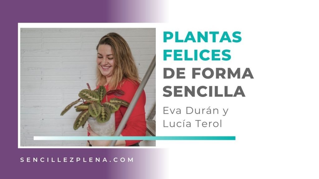 Eva Durán: El cuidado de tus plantas Interior